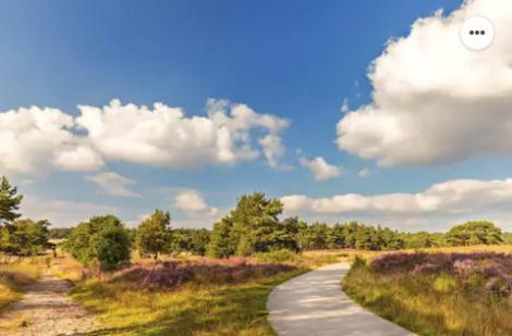 Park Konijnenburg Villa Putten Buitenkant foto